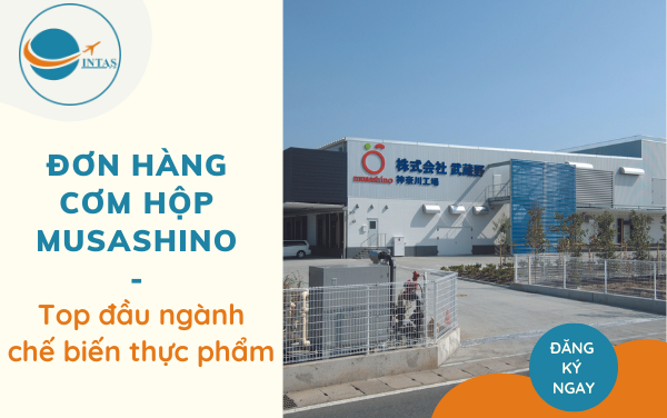 Đơn hàng cơm hộp Musashino – Top đầu ngành chế biến thực phẩm