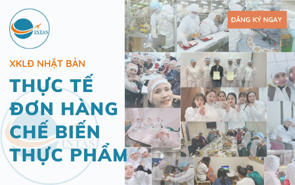 Thực tế đơn hàng chế biến cơm hộp tại Nhật Bản – Có thể bạn chưa biết