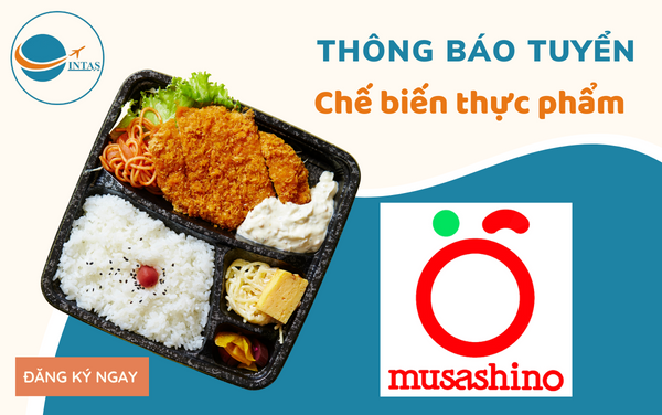 Thông báo tuyển dụng đơn hàng Chế biến thực phẩm MUSASHINO INT01HN