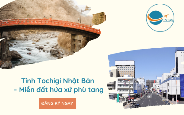 Tỉnh Tochigi Nhật Bản – miền đất hứa xứ phù tang