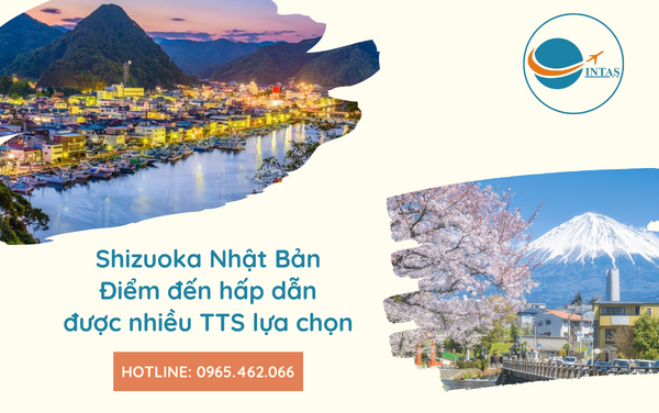 Shizuoka Nhật Bản – Điểm đến hấp dẫn được nhiều TTS lựa chọn